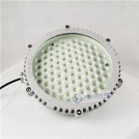 30W圆形LED防爆吸顶灯 30W防水防尘吸壁灯